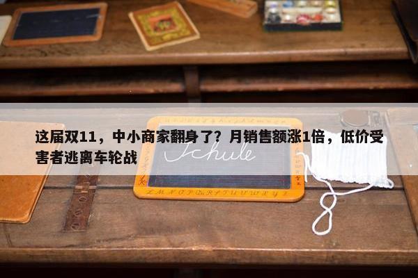 这届双11，中小商家翻身了？月销售额涨1倍，低价受害者逃离车轮战