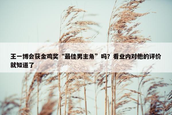 王一博会获金鸡奖“最佳男主角”吗？看业内对他的评价就知道了