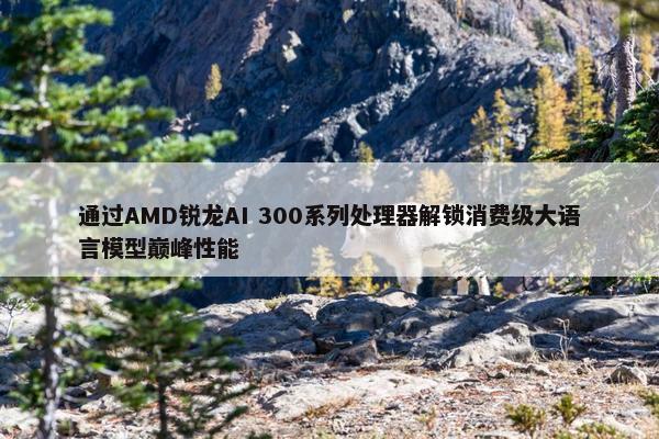 通过AMD锐龙AI 300系列处理器解锁消费级大语言模型巅峰性能