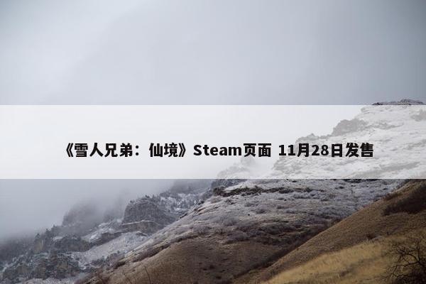 《雪人兄弟：仙境》Steam页面 11月28日发售