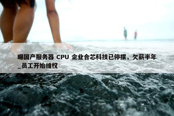 曝国产服务器 CPU 企业合芯科技已停摆，欠薪半年_员工开始维权