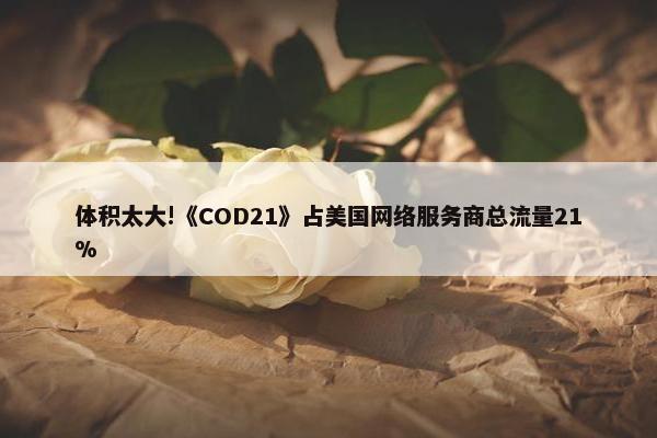 体积太大!《COD21》占美国网络服务商总流量21%