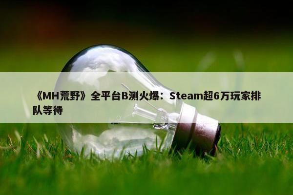 《MH荒野》全平台B测火爆：Steam超6万玩家排队等待