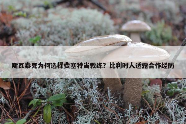 斯瓦泰克为何选择费塞特当教练？比利时人透露合作经历