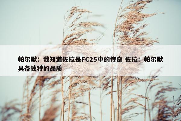 帕尔默：我知道佐拉是FC25中的传奇 佐拉：帕尔默具备独特的品质