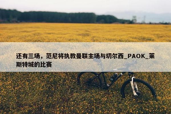 还有三场，范尼将执教曼联主场与切尔西_PAOK_莱斯特城的比赛