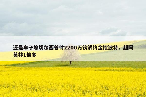 还是车子壕切尔西曾付2200万镑解约金挖波特，超阿莫林1倍多