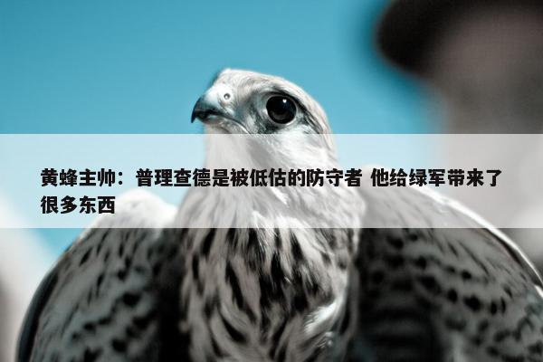 黄蜂主帅：普理查德是被低估的防守者 他给绿军带来了很多东西