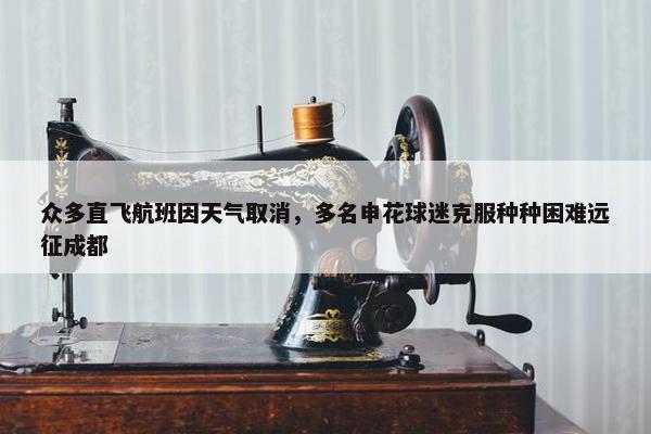 众多直飞航班因天气取消，多名申花球迷克服种种困难远征成都