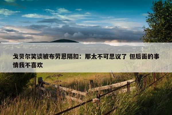 戈贝尔笑谈被布劳恩隔扣：那太不可思议了 但后面的事情我不喜欢