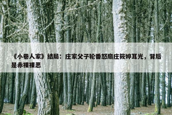 《小巷人家》结局：庄家父子轮番怒扇庄筱婷耳光，背后是赤裸裸恶