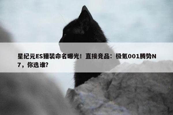 星纪元ES猎装命名曝光！直接竞品：极氪001腾势N7，你选谁？