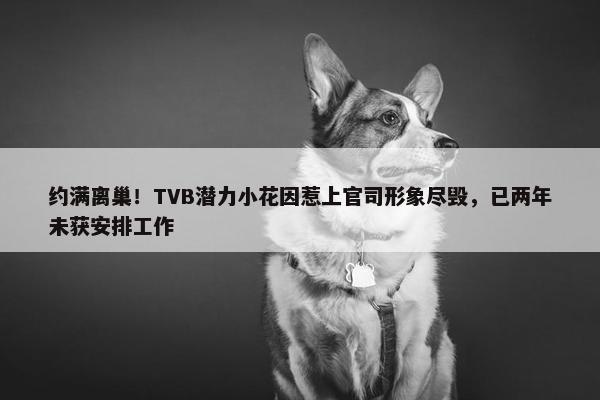 约满离巢！TVB潜力小花因惹上官司形象尽毁，已两年未获安排工作