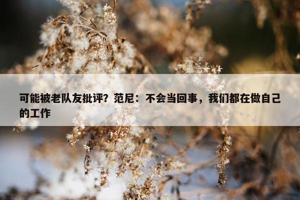 可能被老队友批评？范尼：不会当回事，我们都在做自己的工作