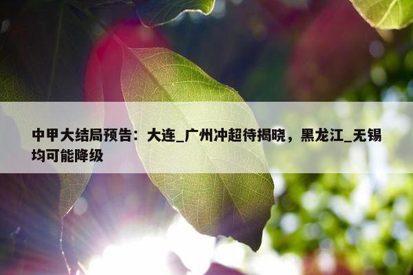 中甲大结局预告：大连_广州冲超待揭晓，黑龙江_无锡均可能降级