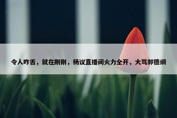 令人咋舌，就在刚刚，杨议直播间火力全开，大骂郭德纲