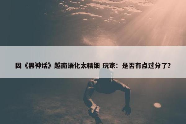 因《黑神话》越南语化太精细 玩家：是否有点过分了？