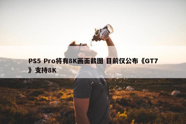 PS5 Pro将有8K画面截图 目前仅公布《GT7》支持8K