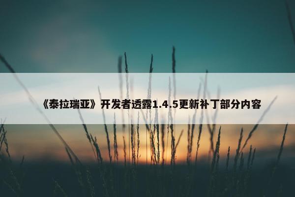 《泰拉瑞亚》开发者透露1.4.5更新补丁部分内容