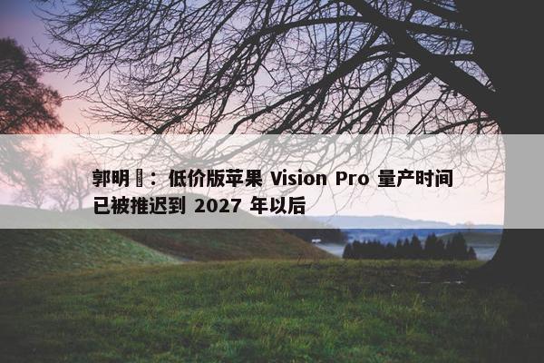 郭明錤：低价版苹果 Vision Pro 量产时间已被推迟到 2027 年以后