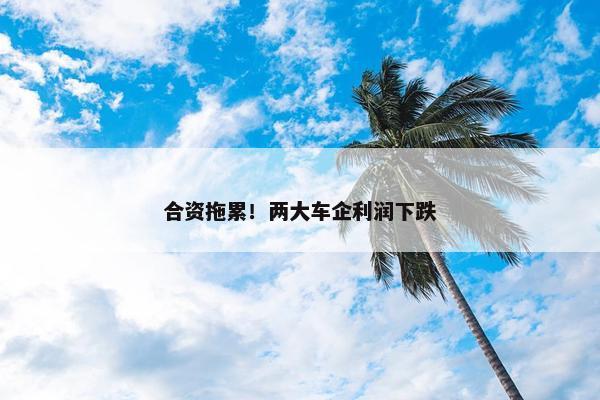 合资拖累！两大车企利润下跌