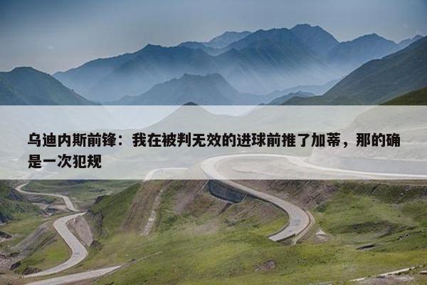 乌迪内斯前锋：我在被判无效的进球前推了加蒂，那的确是一次犯规