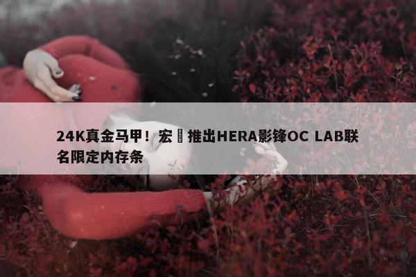 24K真金马甲！宏碁推出HERA影锋OC LAB联名限定内存条