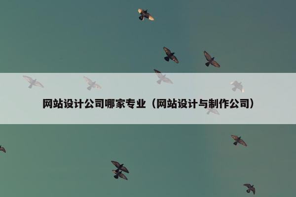 网站设计公司哪家专业（网站设计与制作公司）