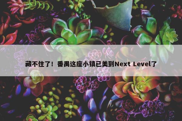 藏不住了！番禺这座小镇已美到Next Level了