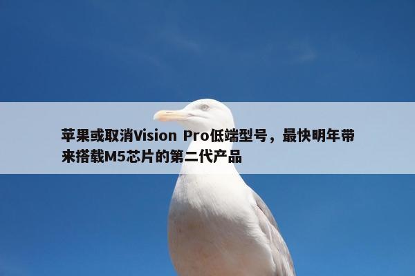 苹果或取消Vision Pro低端型号，最快明年带来搭载M5芯片的第二代产品