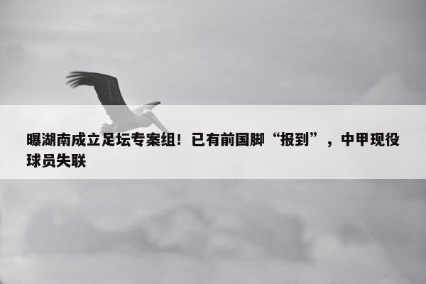 曝湖南成立足坛专案组！已有前国脚“报到”，中甲现役球员失联