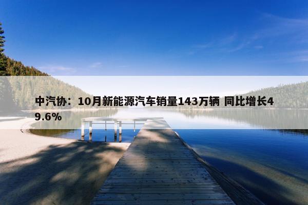 中汽协：10月新能源汽车销量143万辆 同比增长49.6%