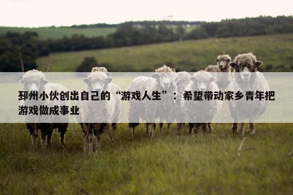 邳州小伙创出自己的“游戏人生”：希望带动家乡青年把游戏做成事业