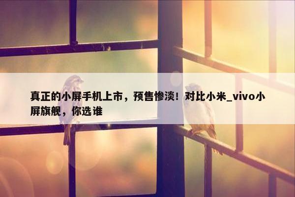 真正的小屏手机上市，预售惨淡！对比小米_vivo小屏旗舰，你选谁