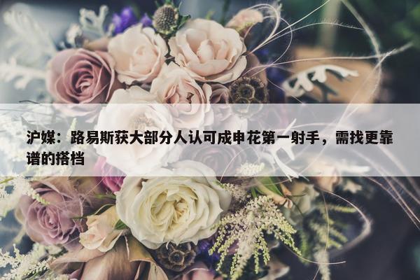 沪媒：路易斯获大部分人认可成申花第一射手，需找更靠谱的搭档