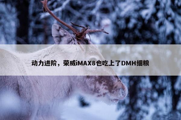 动力进阶，荣威iMAX8也吃上了DMH细粮