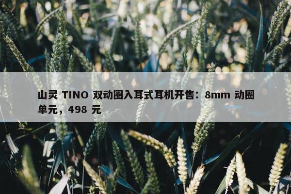 山灵 TINO 双动圈入耳式耳机开售：8mm 动圈单元，498 元