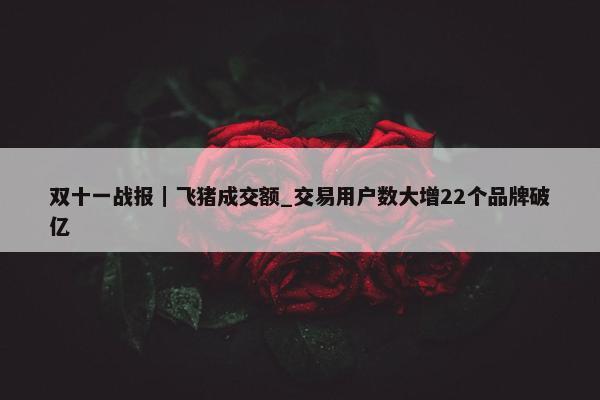 双十一战报｜飞猪成交额_交易用户数大增22个品牌破亿