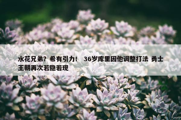 水花兄弟？希有引力！ 36岁库里因他调整打法 勇士王朝再次若隐若现