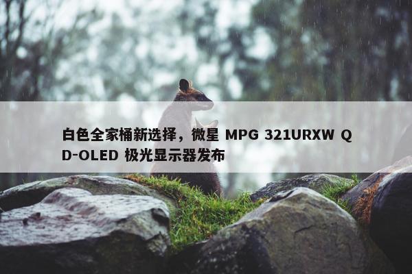 白色全家桶新选择，微星 MPG 321URXW QD-OLED 极光显示器发布