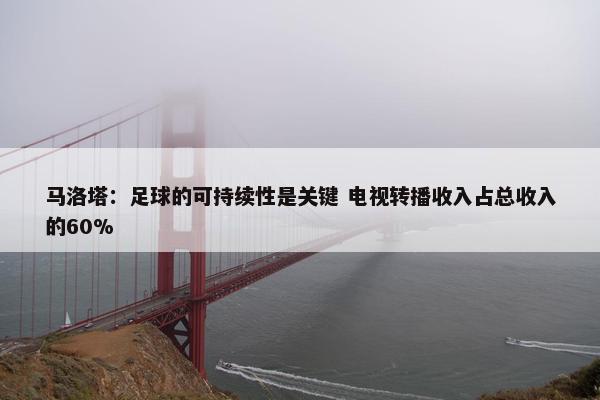 马洛塔：足球的可持续性是关键 电视转播收入占总收入的60%