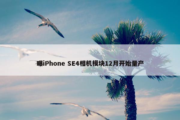 曝iPhone SE4相机模块12月开始量产