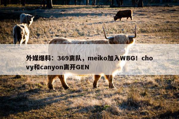 外媒爆料：369离队，meiko加入WBG！chovy和canyon离开GEN