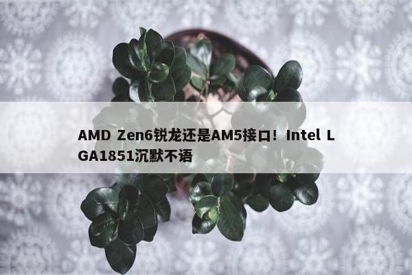 AMD Zen6锐龙还是AM5接口！Intel LGA1851沉默不语