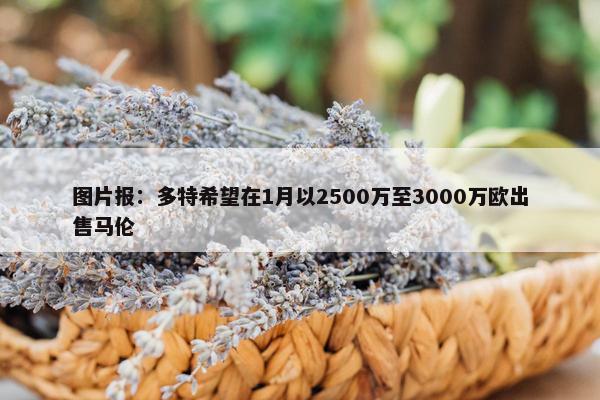 图片报：多特希望在1月以2500万至3000万欧出售马伦