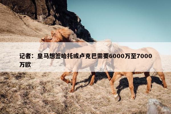 记者：皇马想签哈托或卢克巴需要6000万至7000万欧