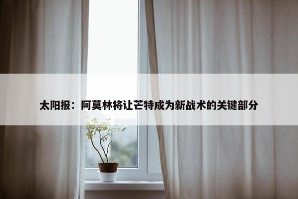 太阳报：阿莫林将让芒特成为新战术的关键部分