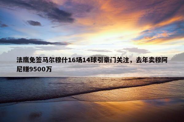 法鹰免签马尔穆什16场14球引豪门关注，去年卖穆阿尼赚9500万