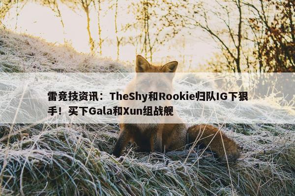 雷竞技资讯：TheShy和Rookie归队IG下狠手！买下Gala和Xun组战舰