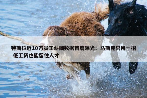 特斯拉近10万员工薪酬数据首度曝光：马斯克只用一招 低工资也能留住人才